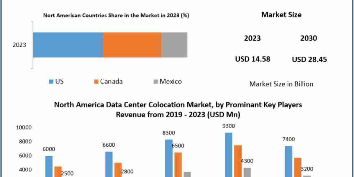 North America Data Center Colocation Market Growth Analysis Based on Colocation Type, Enterprise Size, End User, Facilit
