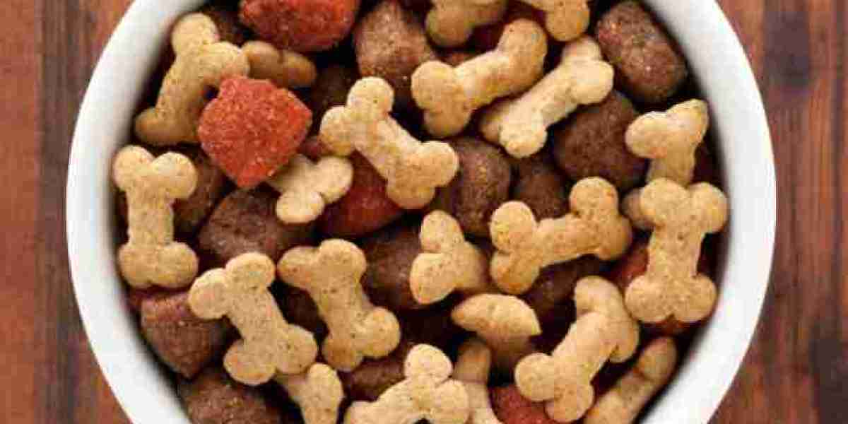 Fortified Pet Food Market Advances With Changing Pet Needs