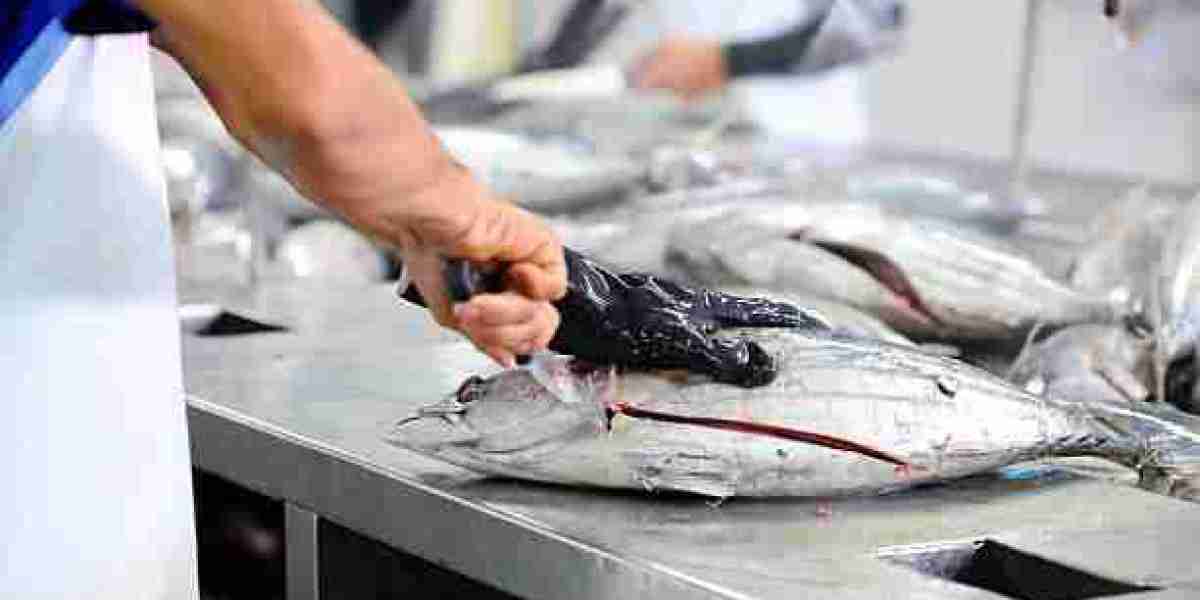 Fish Processing Equipment Market Reshapes Seafood Production