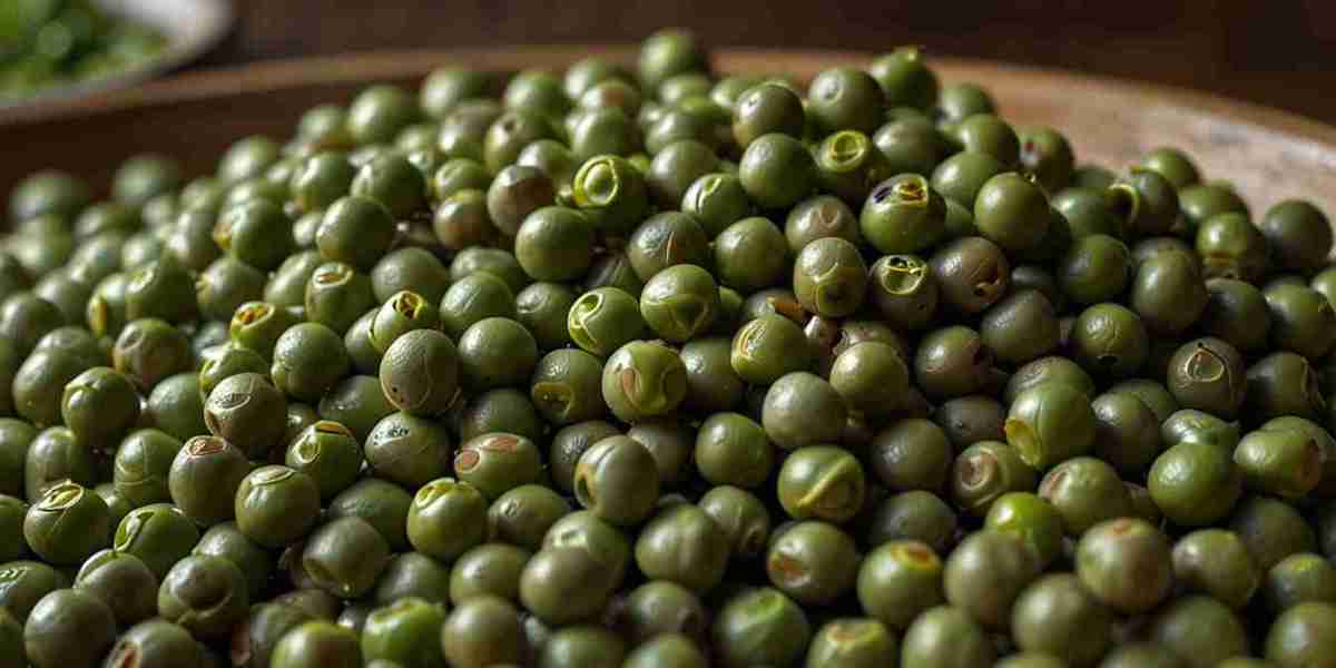 Mung Beans Prices, Trend, and Demand Insights Q1 2026