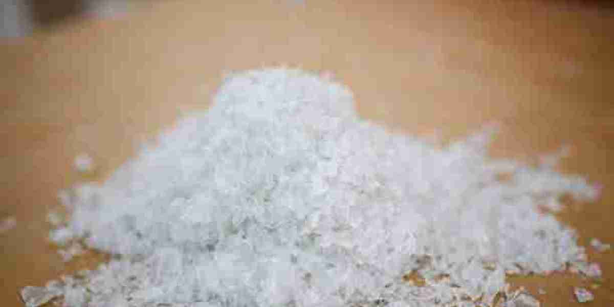 Which Polyester Polyol Applications Are Expected to Drive Market Growth Through 2033?