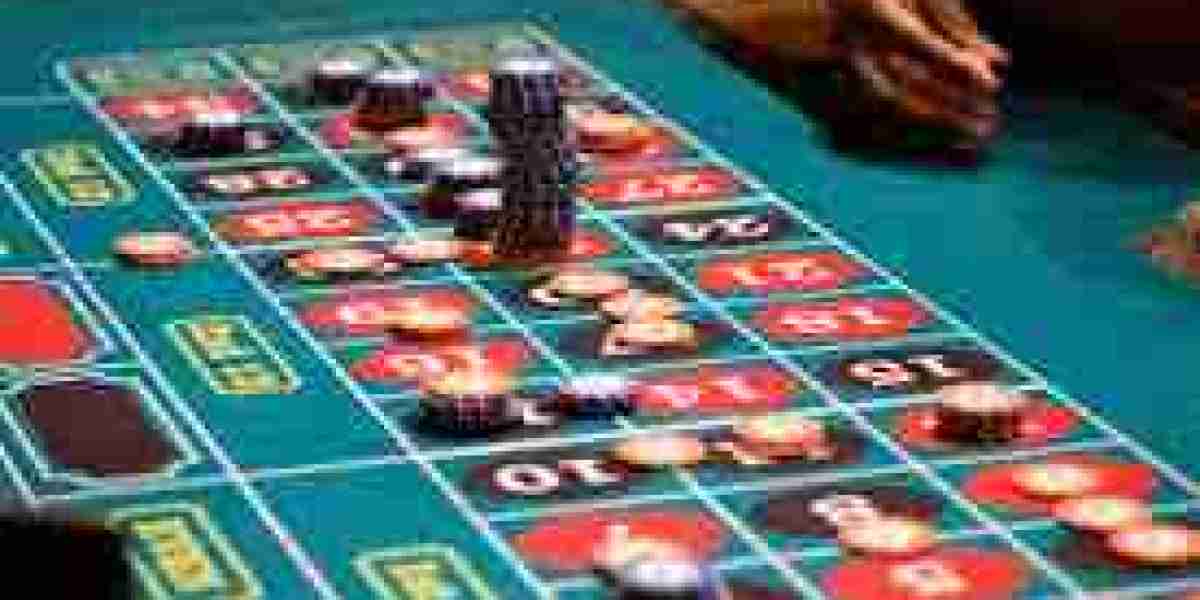 What Is Reddybook and How Does the Platform Work for Sports Betting?